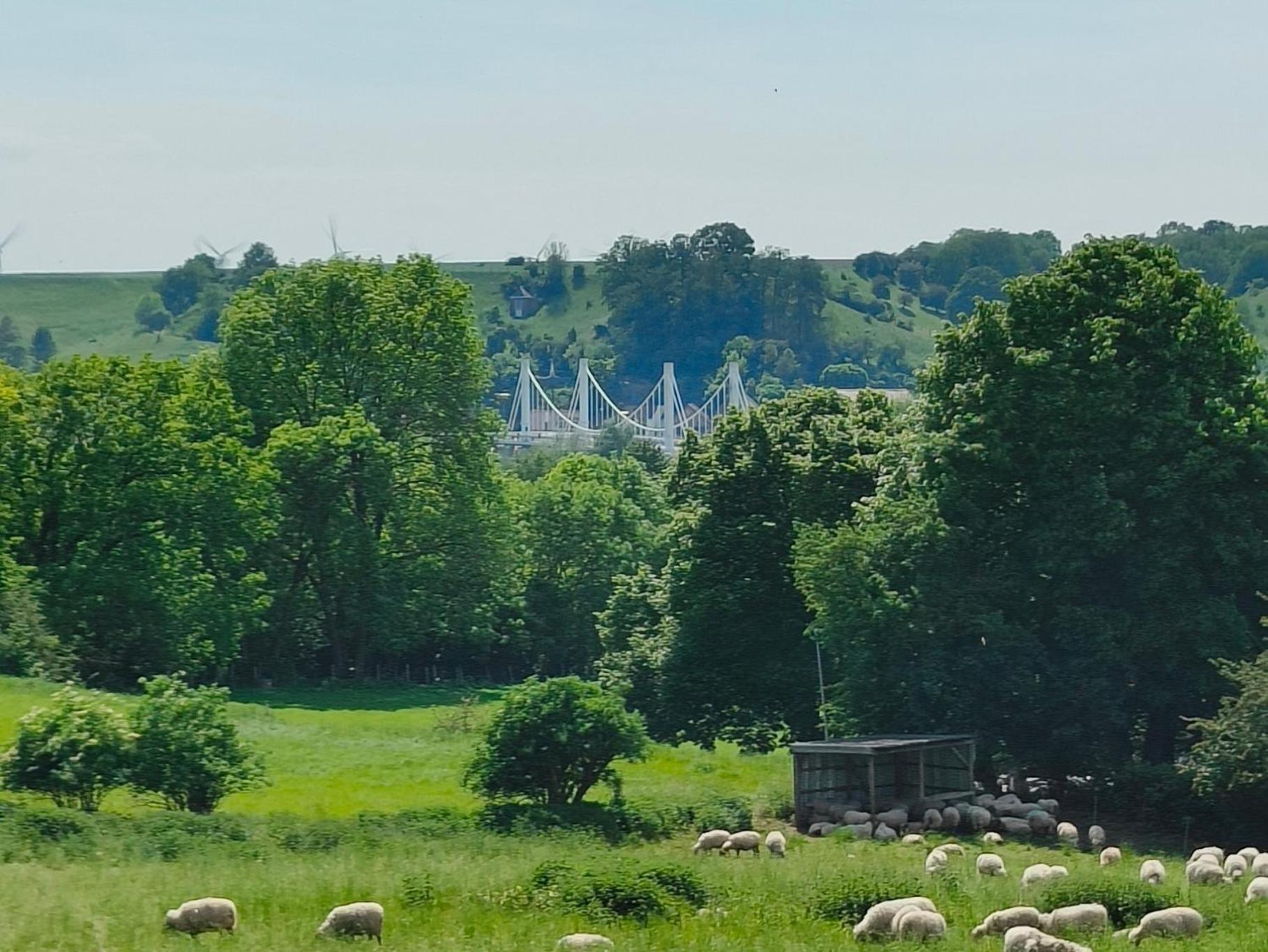 Bij De Secretaris Villa Kanne Exteriör bild