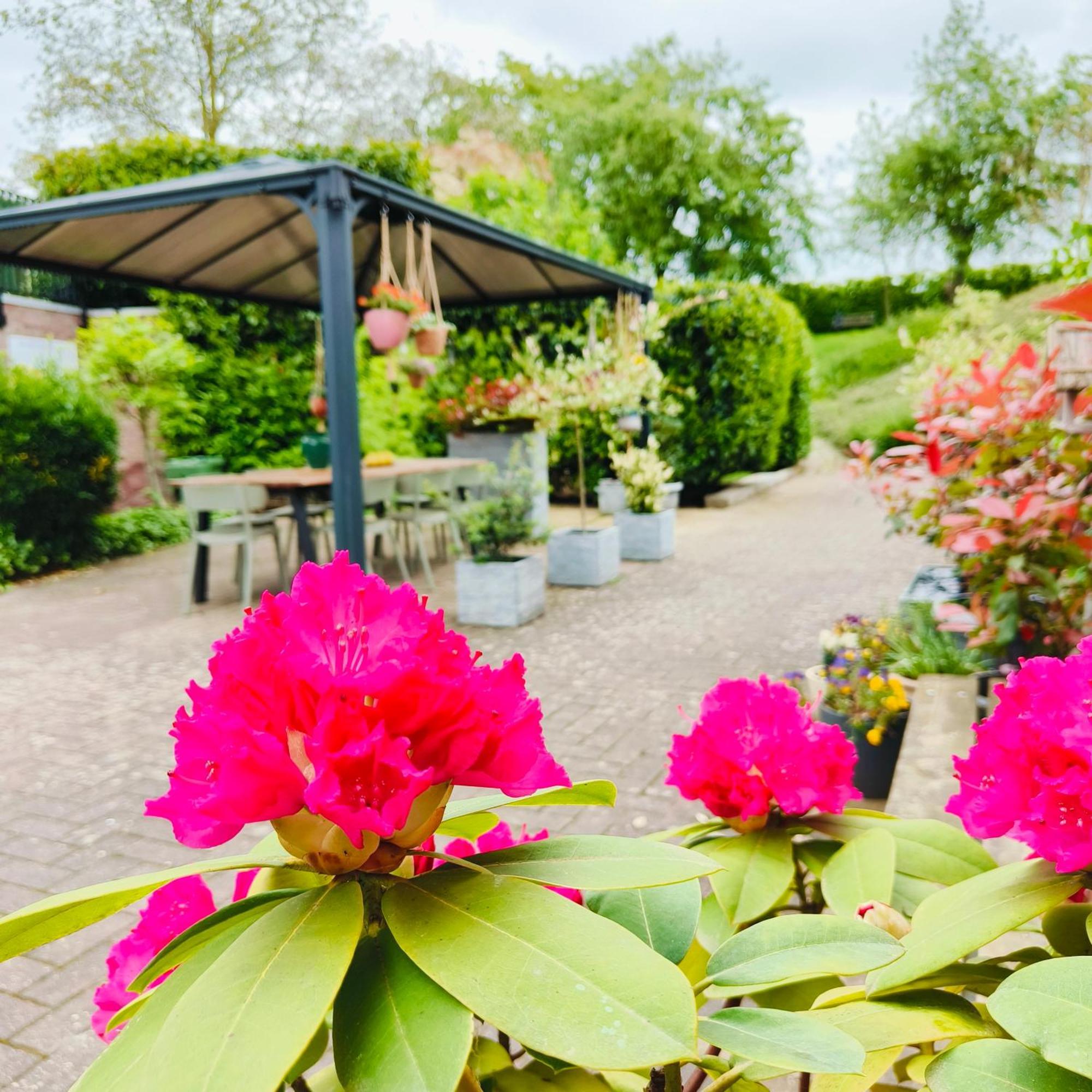 Bij De Secretaris Villa Kanne Exteriör bild